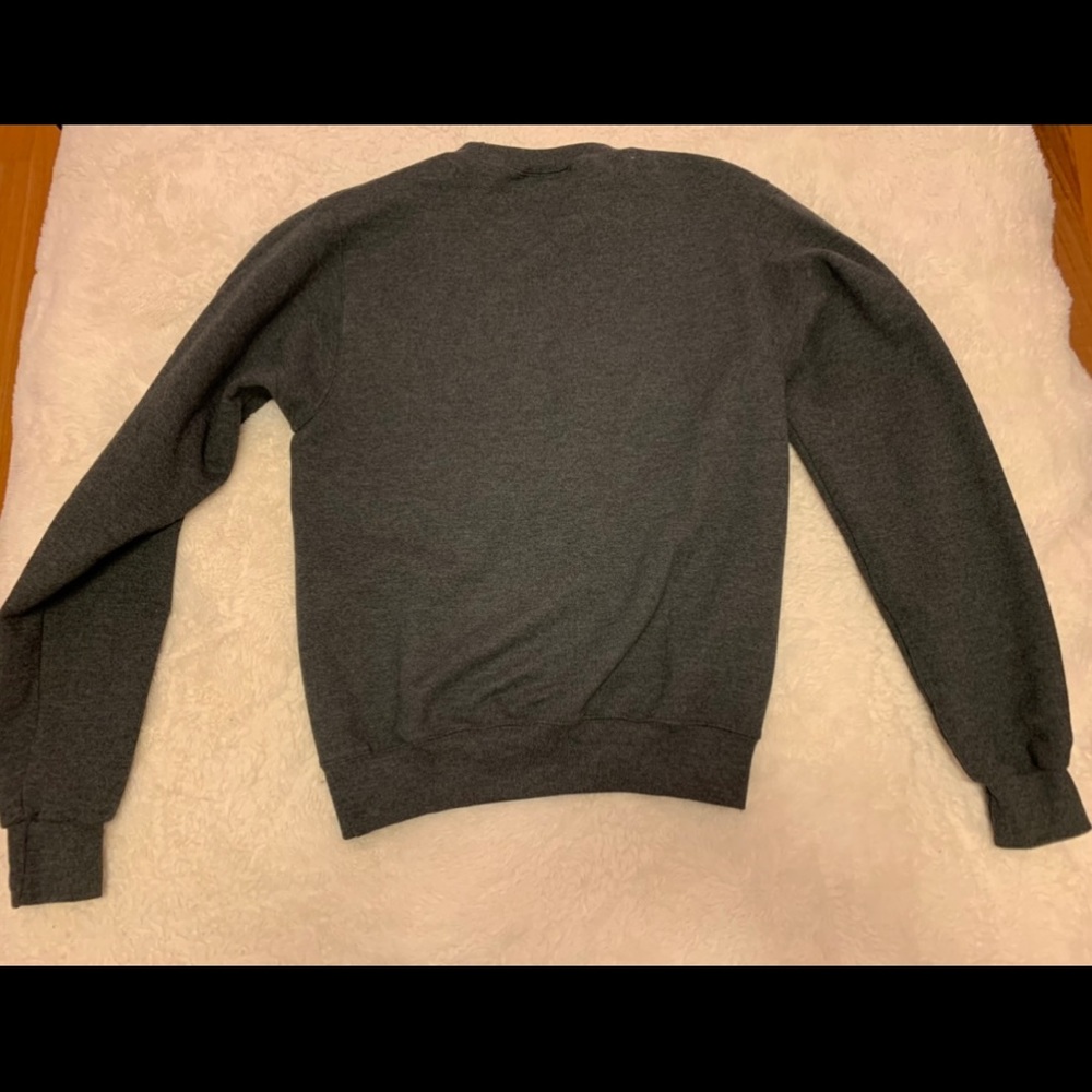 Champion’s Seton Hall University Sweatshirt - image 2